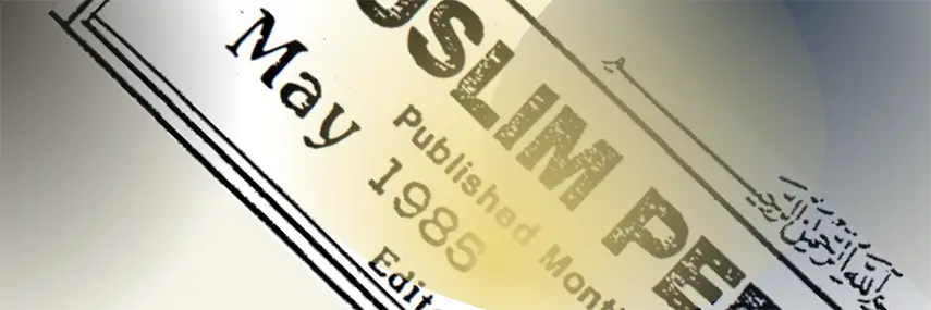 1985 – Mayıs Ayı – Teslim olanlar Perspektif